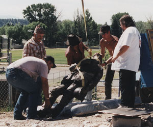 Initial raising of the life sized statue of a cowboy entitled "Veterans Legacy"